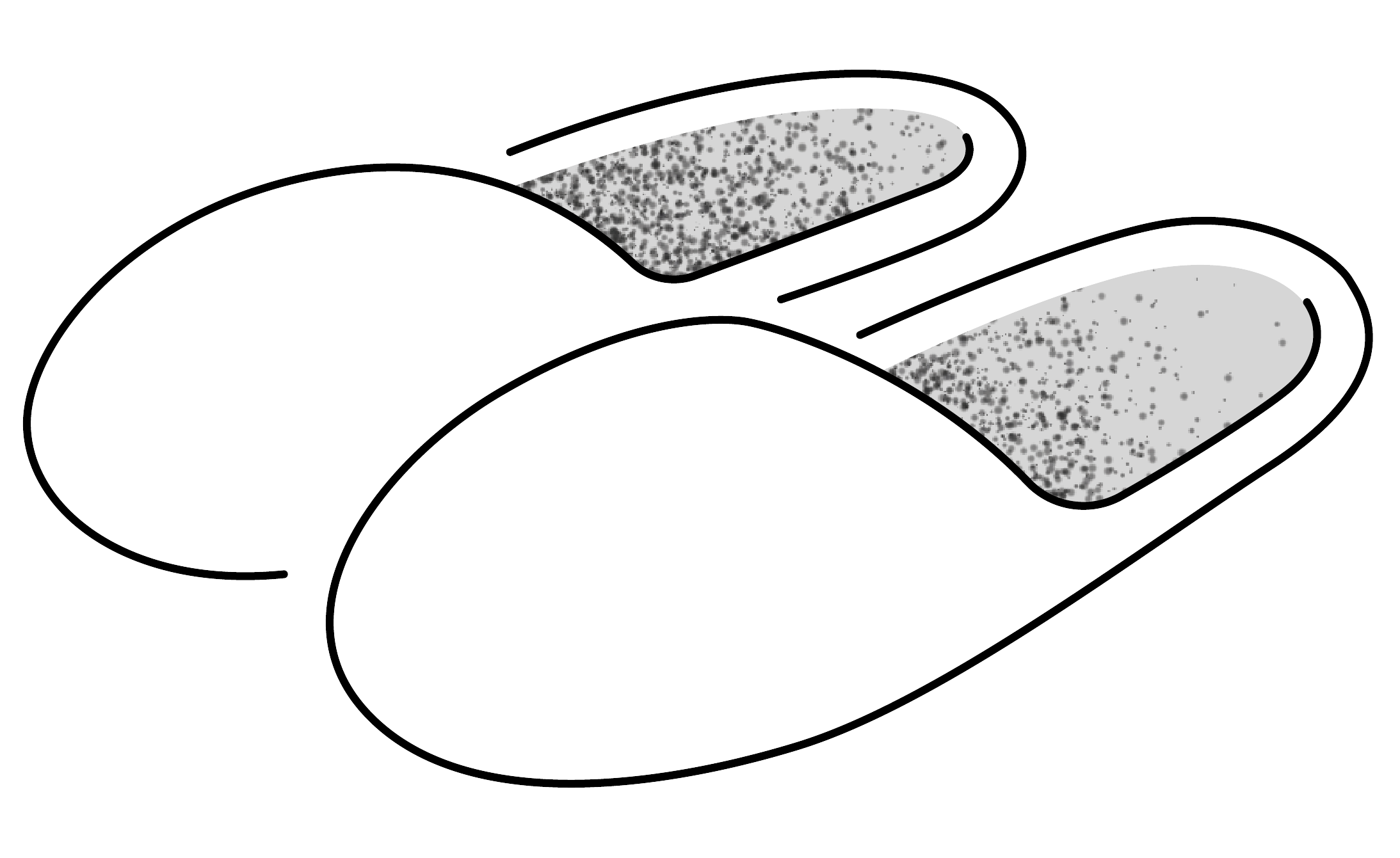 zapatillas